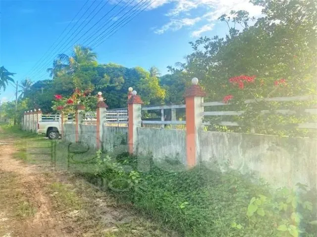 Imagem 5: Chácara À Venda no Povoado Matapoã - Mosqueiro