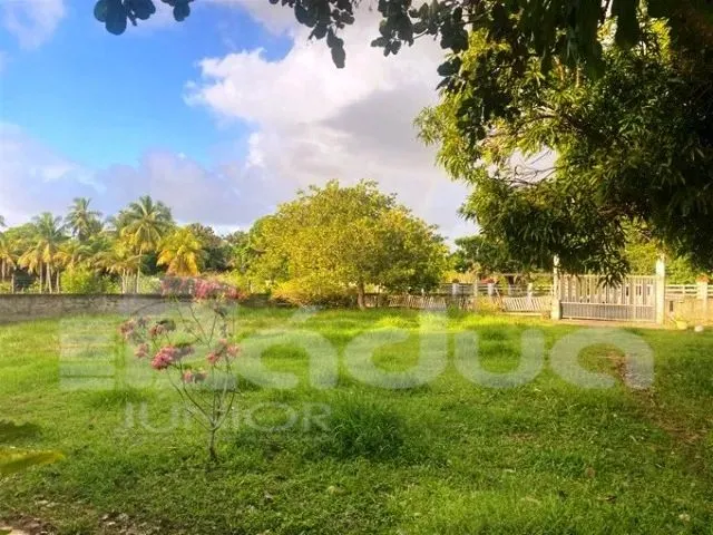Imagem 2: Chácara À Venda no Povoado Matapoã - Mosqueiro