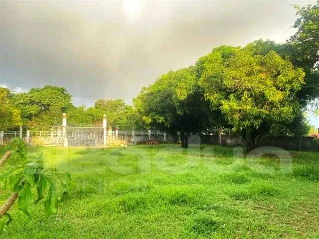 Imagem 4: Chácara À Venda no Povoado Matapoã - Mosqueiro