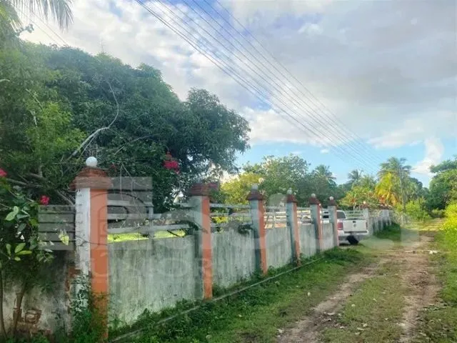 Imagem 11: Chácara À Venda no Povoado Matapoã - Mosqueiro