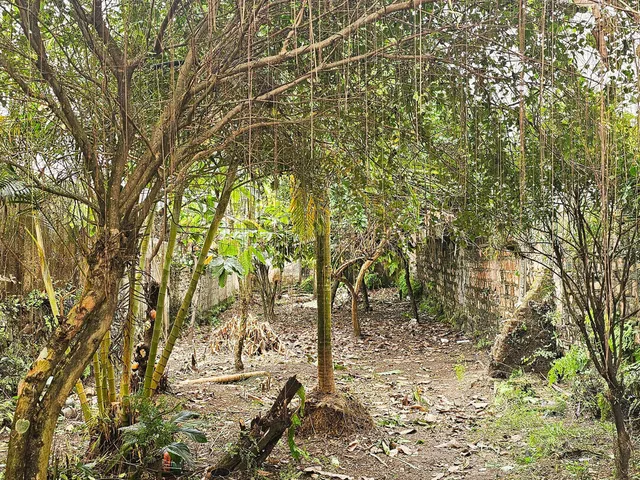 Imagem 2: Ponto Comercial Comércio em Centro, Valença/BA