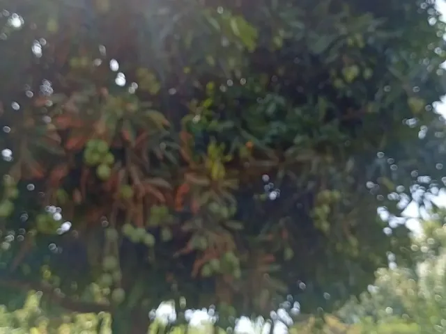 Imagem: Sítio Porteira Fechada