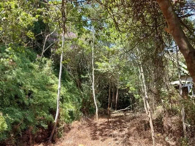 Imagem: Terreno Vilas Romanas