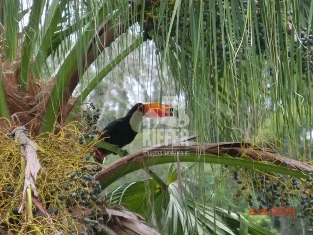 Imagem: A fazenda possui 350m² de Área e está localizado em