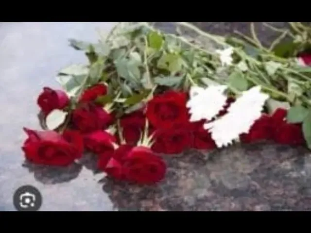 Imagem: Jazido
