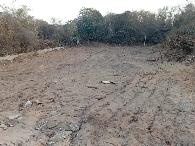 Imagem 4: Vendo Terreno - Eusébio/Ce (Planalto Cofeco