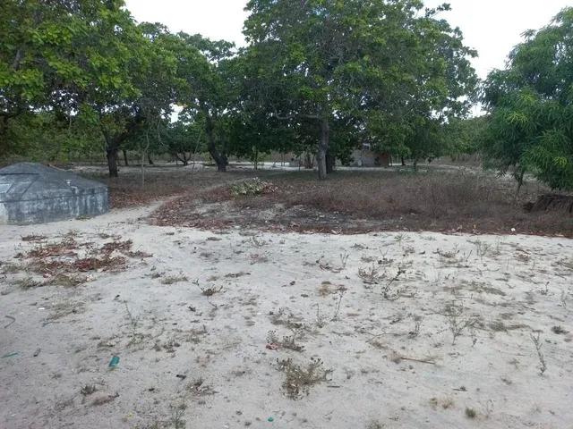 Imagem 5: Vendo Ou Troco Terreno com Casa 50X100