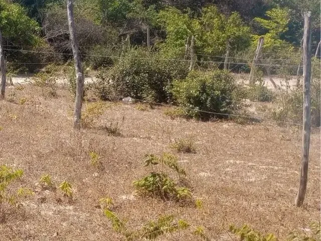 Imagem: Vendo Ou Troco por Carro, Em Paracuru