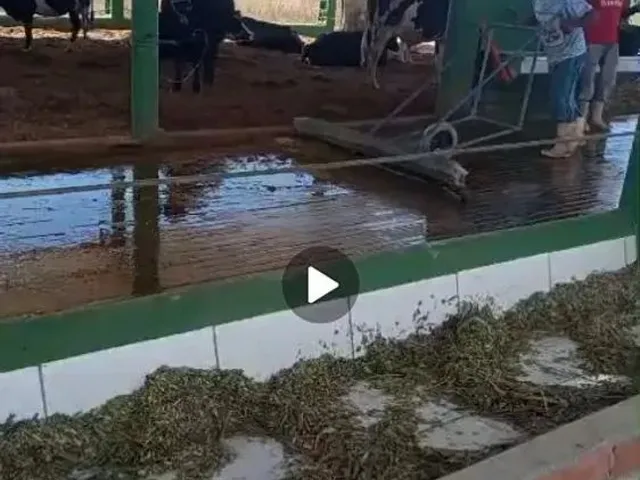 Imagem 5: Vendo Uma Fazenda em Pentecoste