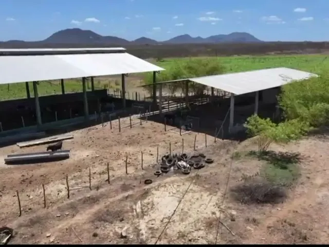 Imagem 8: Vendo Uma Fazenda em Pentecoste