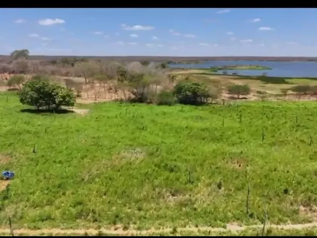 Imagem 10: Vendo Uma Fazenda em Pentecoste