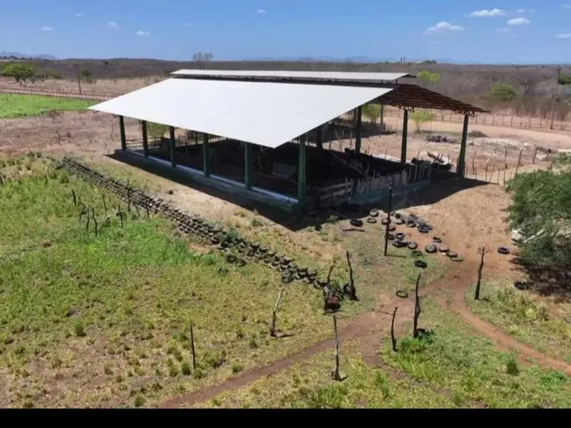 Imagem 14: Vendo Uma Fazenda em Pentecoste