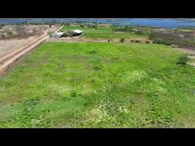 Imagem 15: Vendo Uma Fazenda em Pentecoste