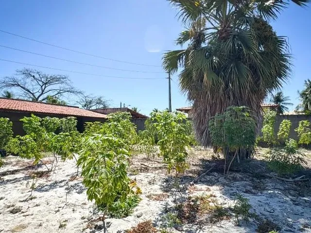 Imagem 13: Lindo Sitio na Lagoa Redonda Próximo À Av. Maestro Lisboa 3.400M2