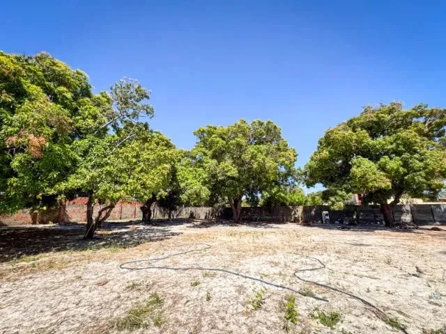 Imagem 12: Lindo Sitio na Lagoa Redonda Próximo À Av. Maestro Lisboa 3.400M2