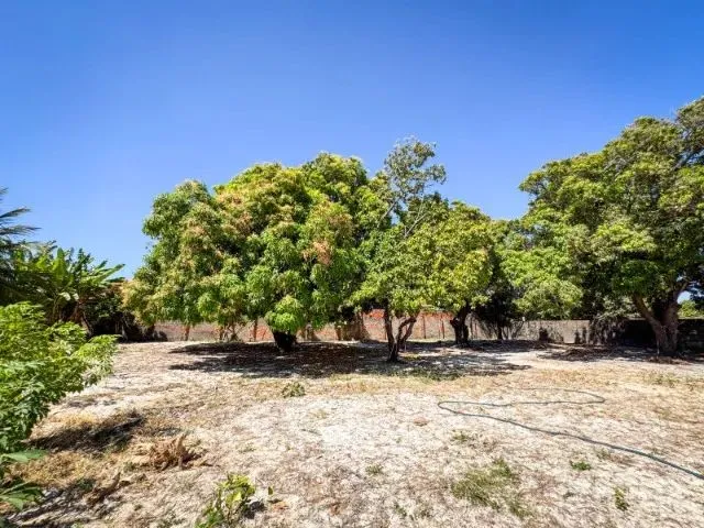 Imagem 15: Lindo Sitio na Lagoa Redonda Próximo À Av. Maestro Lisboa 3.400M2