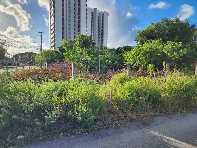 Imagem: Terreno com 1.032M2 Próx. Av. Washington