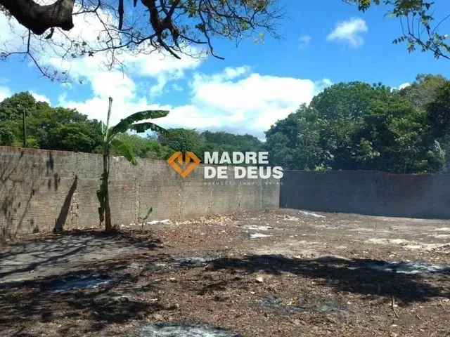 Imagem 10: Lote no Bairro Luciano Cavalcante