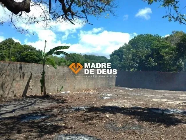 Imagem 15: Lote no Bairro Luciano Cavalcante