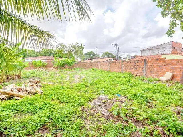 Imagem 3: Terreno À Venda em Parangaba - Ce