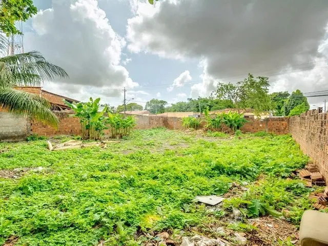 Imagem 8: Terreno À Venda em Parangaba - Ce