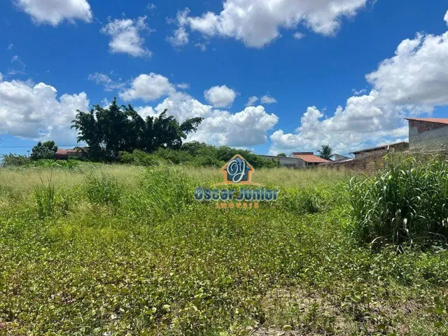 Imagem: Belíssimo Loteamento com 4620 M² por R$