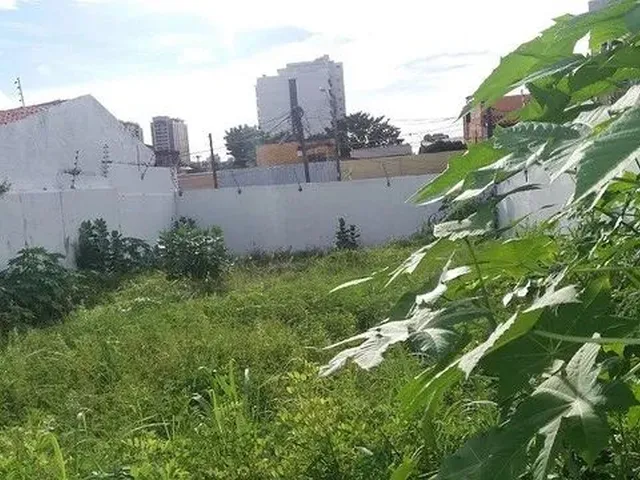 Imagem: Terreno Comercial Disponível para Locação