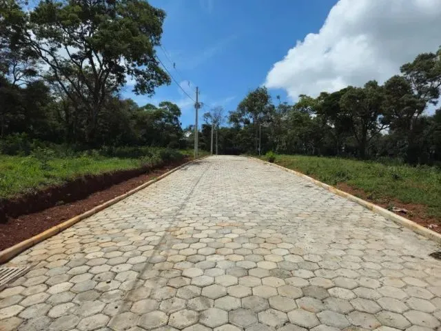 Imagem: Chácaras a 4 Km do Centro de Conselheiro