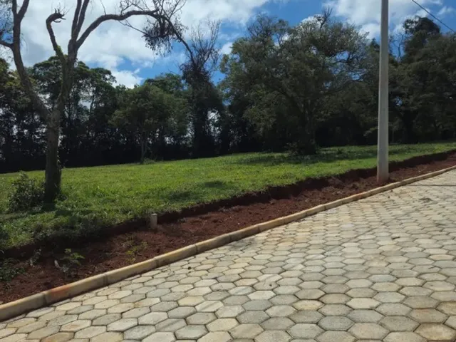 Imagem 2: Chácaras a 4 Km do Centro de Conselheiro Lafaiete