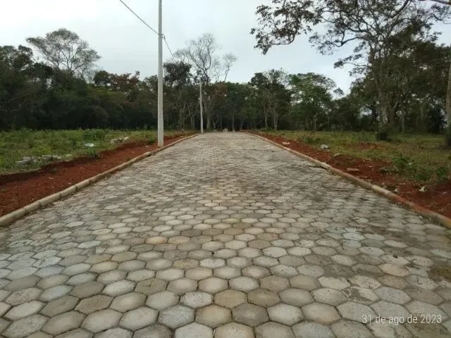 Imagem 6: Chácaras a 4 Km do Centro de Conselheiro Lafaiete