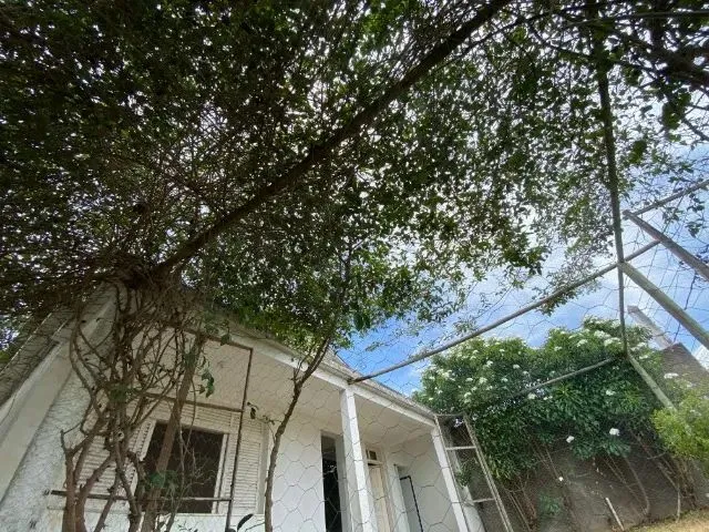 Imagem 14: Casa com 4 Quartos em Itapetinga Centro