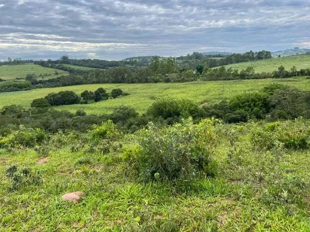 Imagem: Fazenda Rural em Crucilândia - Mg, Crucilandia