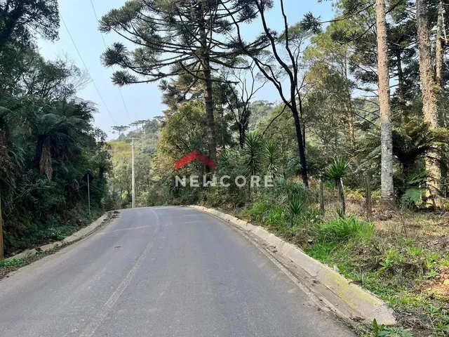 Imagem: Chácara em Estrada da Carapina - Vale do