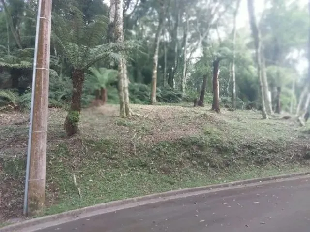 Imagem: Terreno no Condomínio Amp Quot O Bosque