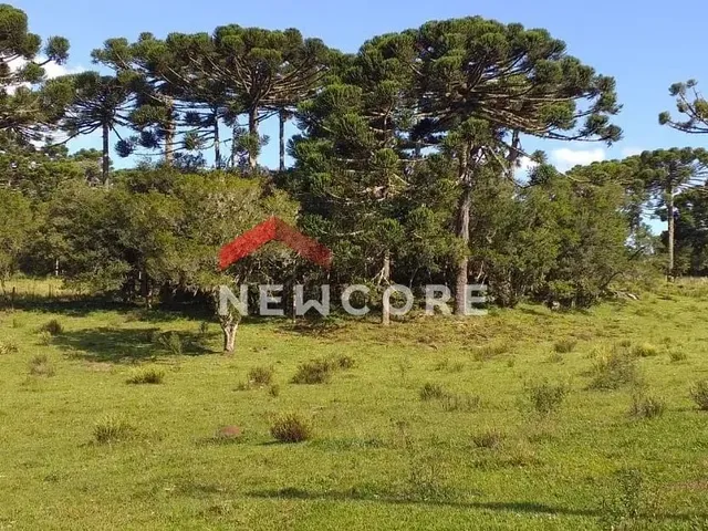 Imagem: Chácara em Estrada Geral - Contendas
