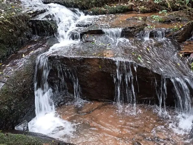 Imagem: Chácara de 4.686M² Pertinho de Gramado