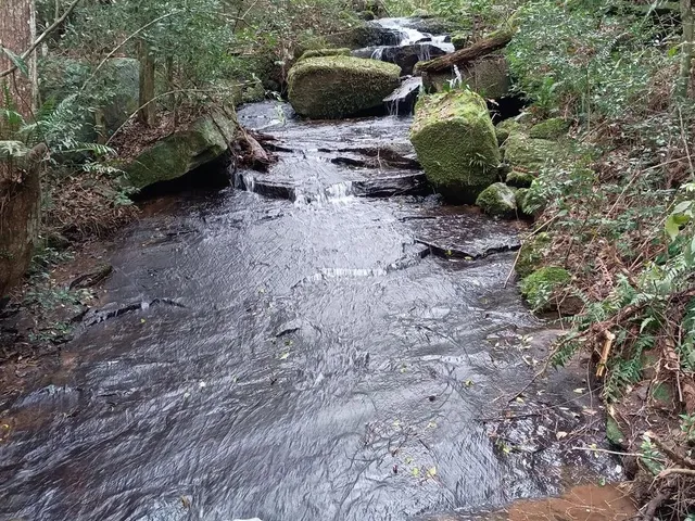 Imagem 3: Chácara de 4.686M² Pertinho de Gramado