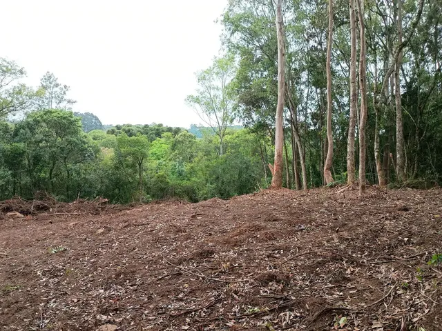 Imagem 4: Chácara de 4.686M² Pertinho de Gramado