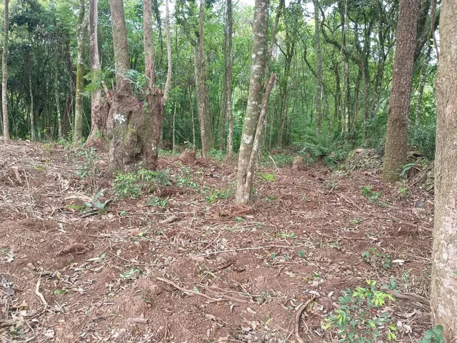 Imagem 5: Chácara de 4.686M² Pertinho de Gramado