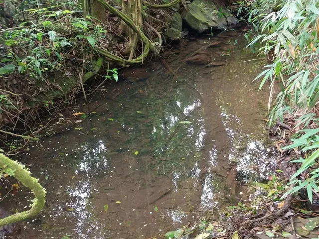 Imagem 8: Chácara de 4.686M² Pertinho de Gramado
