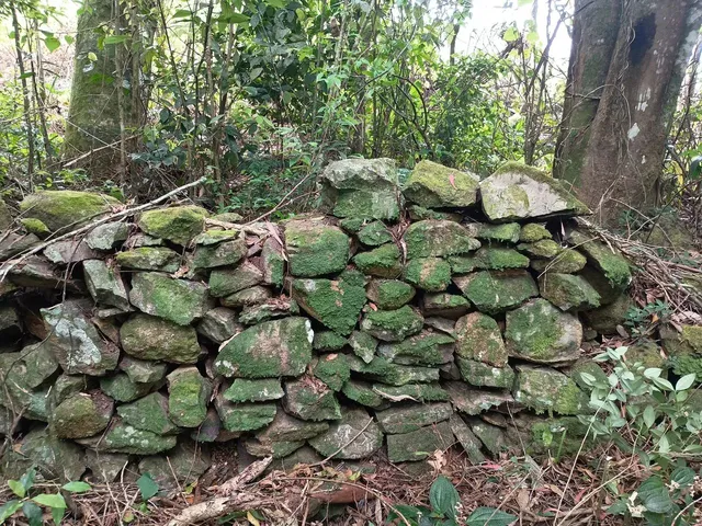 Imagem 9: Chácara de 4.686M² Pertinho de Gramado