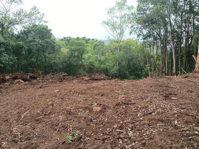 Imagem 13: Chácara de 4.686M² Pertinho de Gramado