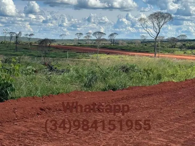 Imagem: Fazenda 500 Hectares em Guarata do Norte