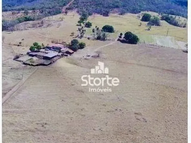 Imagem: Fazenda À Venda com 135 Hectares (28 Alqueires)