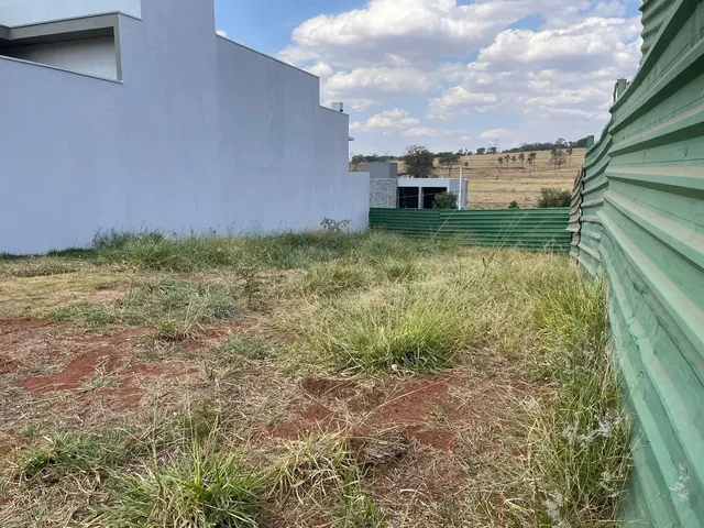 Imagem 3: Terreno Terras Alpha Uberlândia