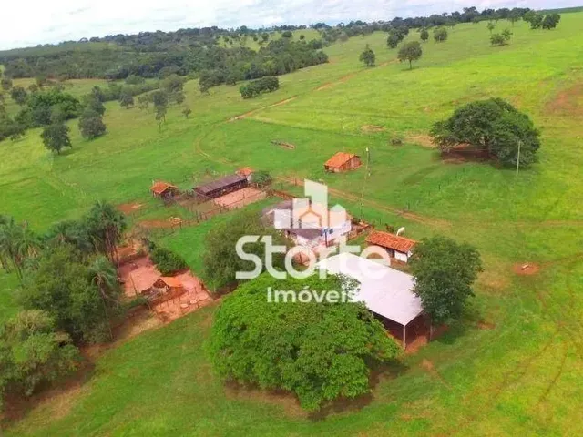 Imagem: Fazenda À Venda com 217,80 Hectares (45