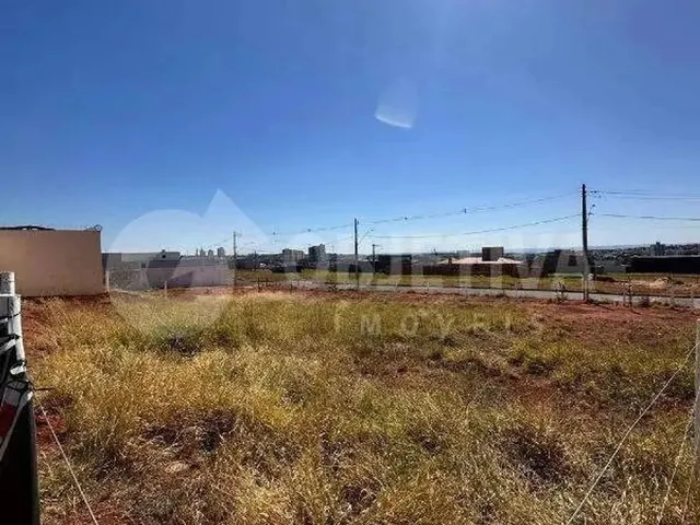 Imagem: Terreno À Venda, Quinta Alto Umuarama