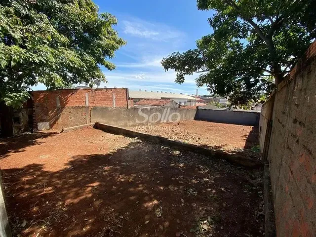 Imagem: Venda Terreno Osvaldo Rezende