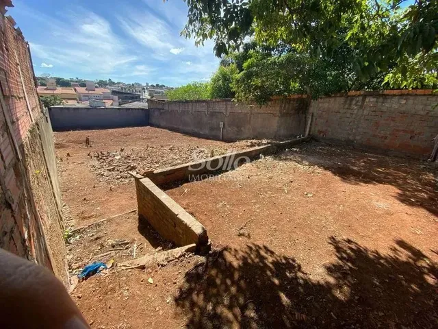 Imagem 3: Venda Terreno Osvaldo Rezende