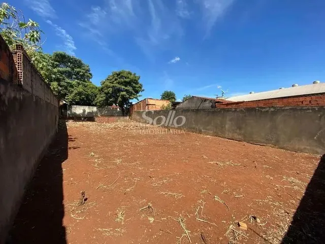 Imagem 5: Venda Terreno Osvaldo Rezende